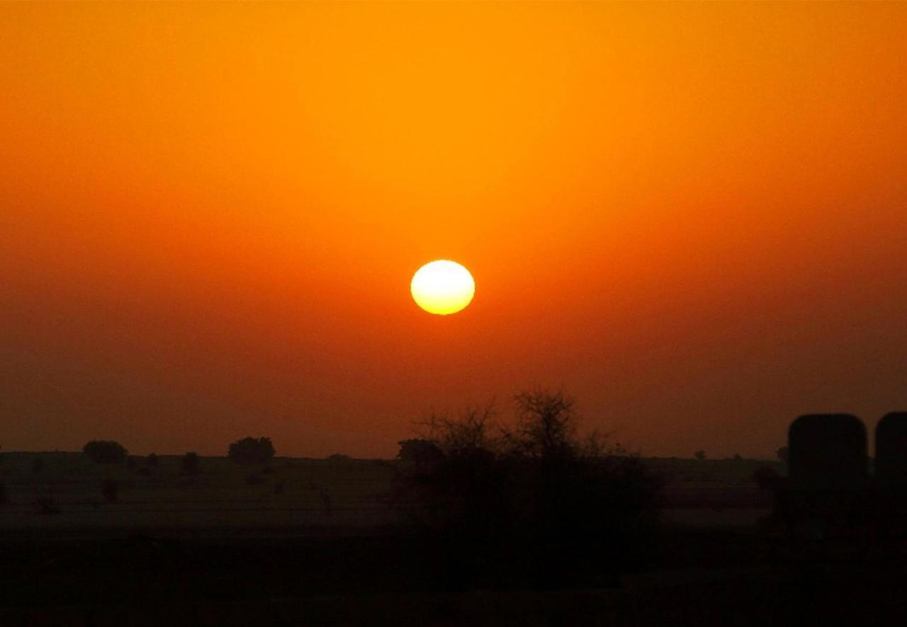 Sunrise Desert Resort With Swimming Pool Jaisalmer Exterior foto